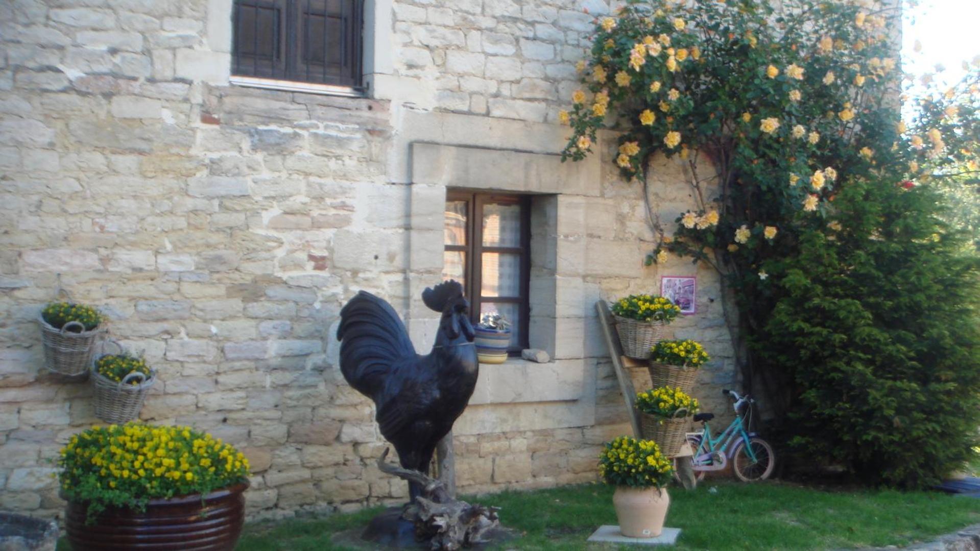 Moulin De Bourgchateau Louhans Esterno foto